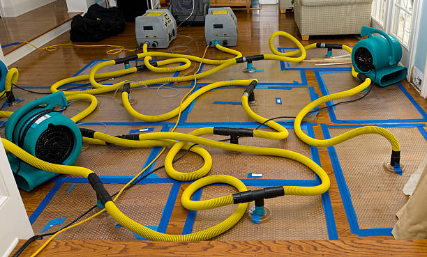 Professional Crawl Space Water Removal technician working in Shepherd, MI